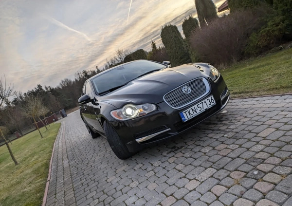 Jaguar XF cena 33900 przebieg: 260000, rok produkcji 2010 z Końskie małe 407